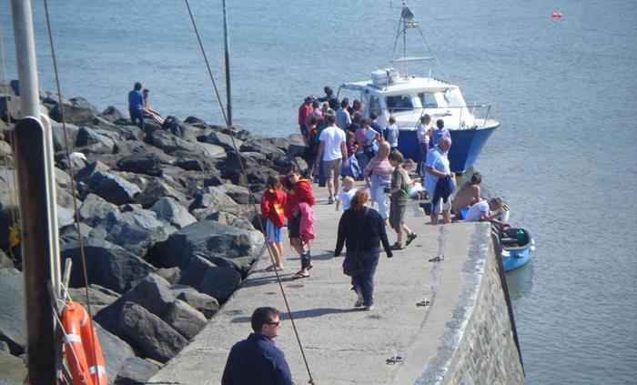 Boat Trip New Quay
